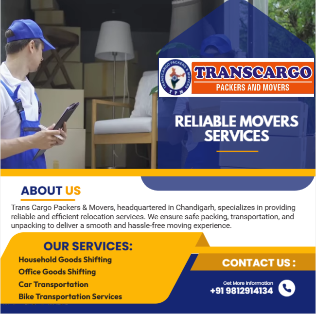 about_trans_cargo_packers