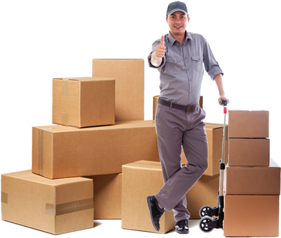 Trans Cargo Packers & Movers